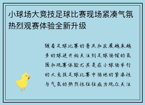小球场大竞技足球比赛现场紧凑气氛热烈观赛体验全新升级